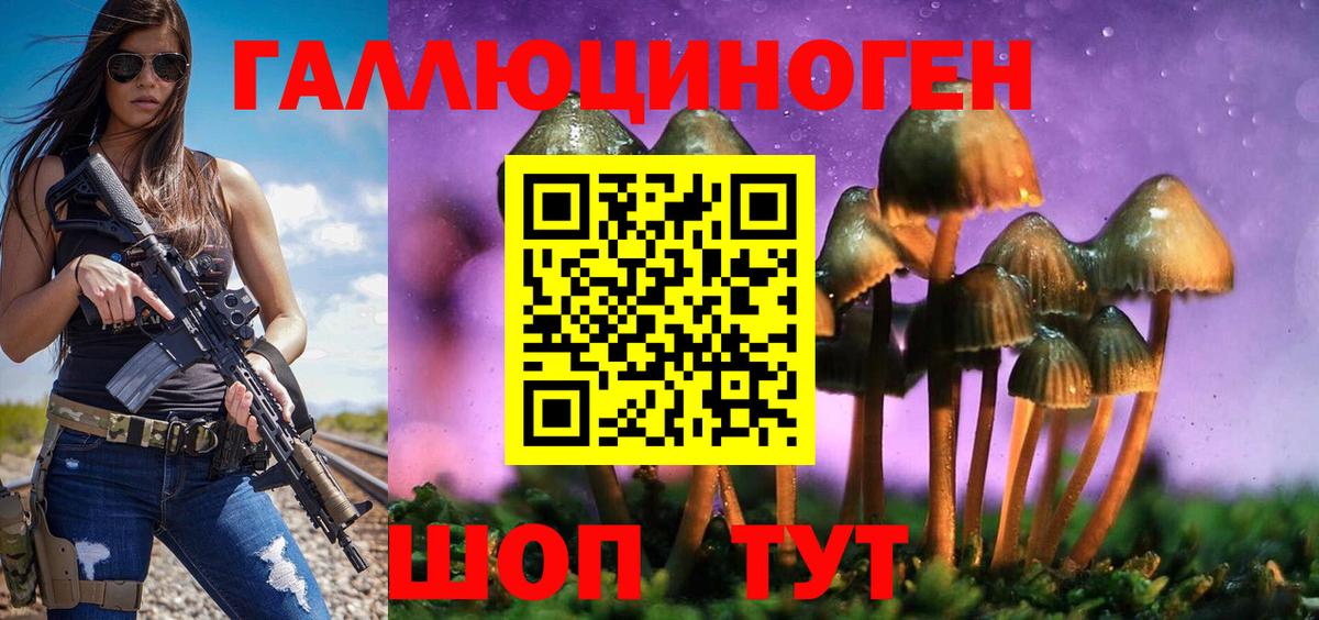 где найти   Псилоцибиновые грибы Psilocybine cubensis  Вход с VPN  Галлюциногенные грибы Cubensis  Орехово-Зуево 